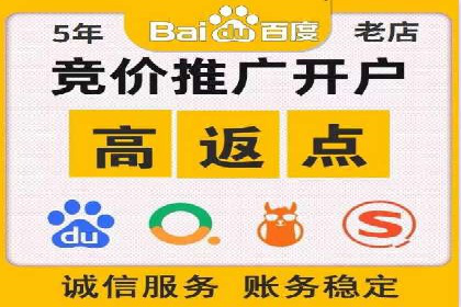 成功案例解析：SEO与SEM协同营销策略